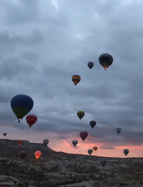 ギャラリー画像