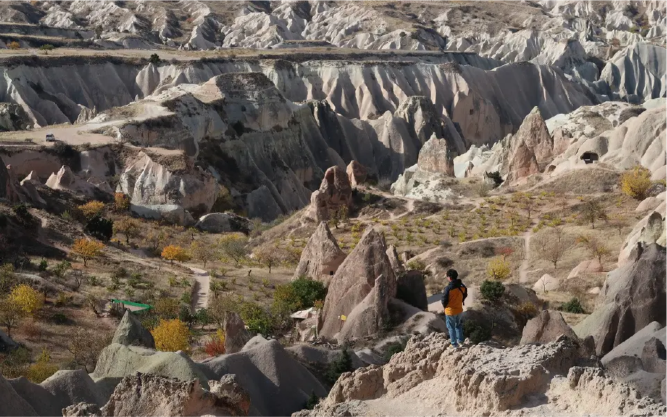 ギャラリー画像