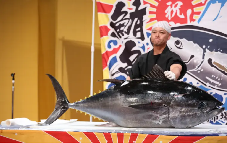 マグロの解体ショー